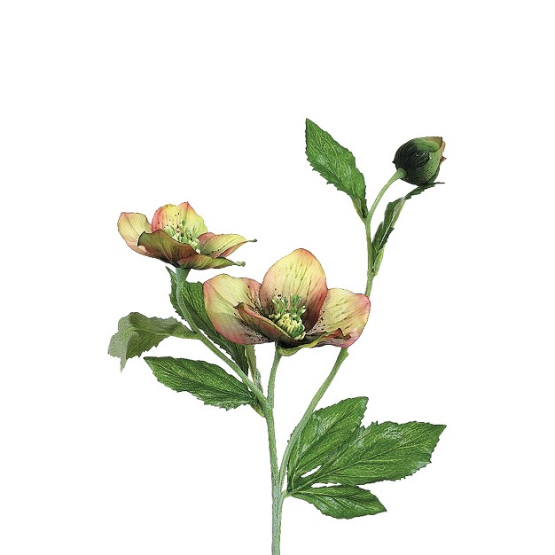 Sage Green And Burgundy Helleborus Artificial Decorative Spray