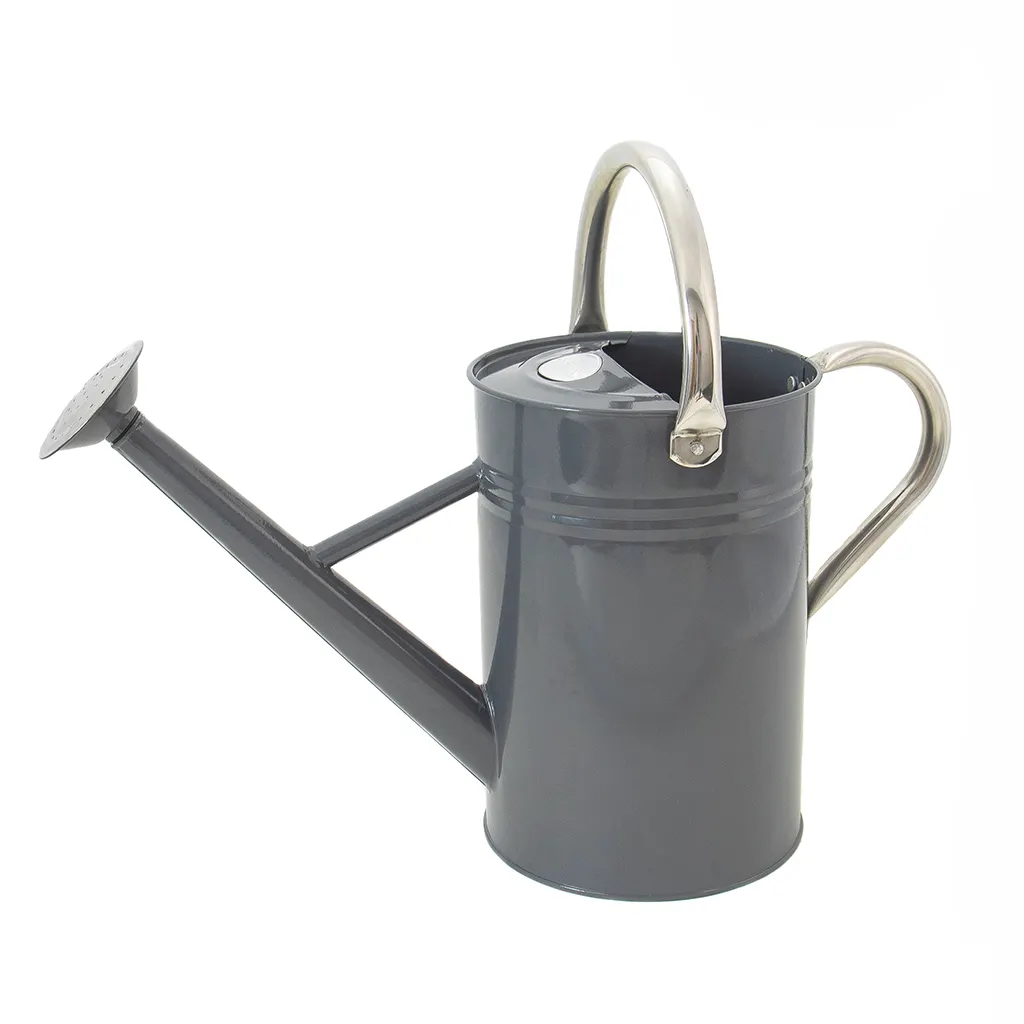 Hot Selling Jugs Silver Finishing Metal Polished Water Canes Homes Garden Decoration Water Planter Cans Best Quality