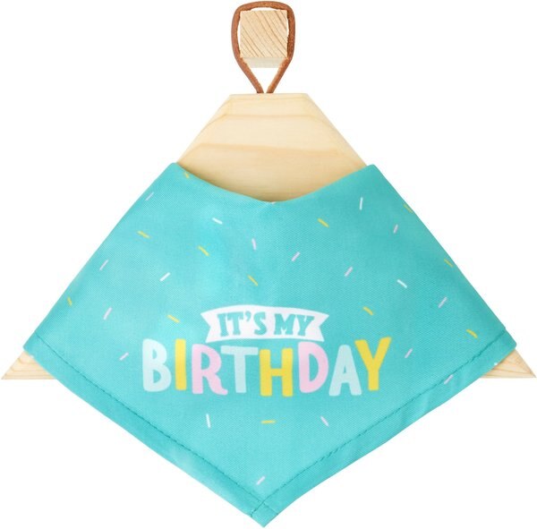 Frisco Dog and Cat Birthday Bandana