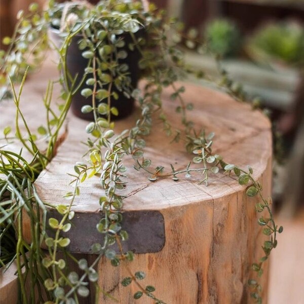 RusticReach Hanging Faux Ceropegia Vine in Pot