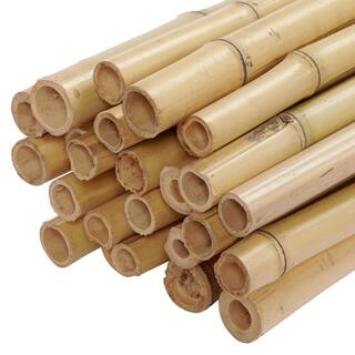 Backyard X-Scapes 1 in. D x 90 in. L Natural Bamboo Poles (25-PackBundled) HDD-BP05