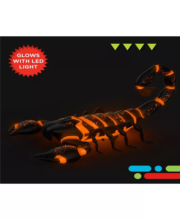 Discovery Kids RC Scorpion  Glow In The Dark Body  Wireless Remote-Control Toy for Kids