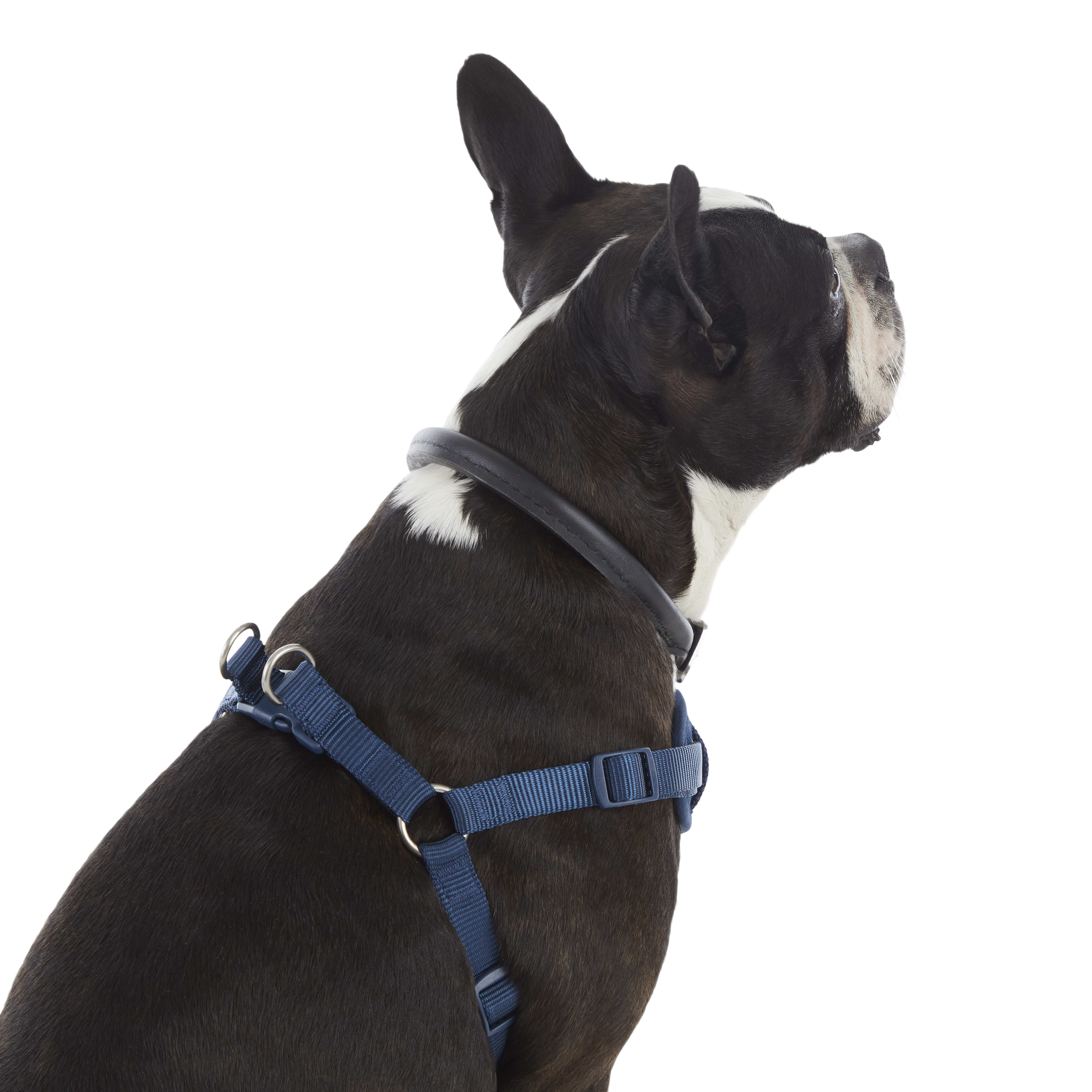 Good2Go Navy Padded Step-In Dog Harness， X-Small