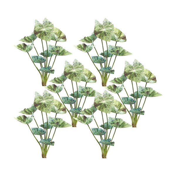 Caladium Bush (Set of 6)