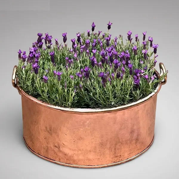 Sturdy Durable Metal Copper Planter Highest Quality Metal home Garden Farmhouse Decoration Planter Handmade Hammered