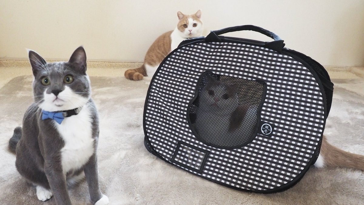 Necoichi Ultra Light Collapsible Cat Carrier Bag