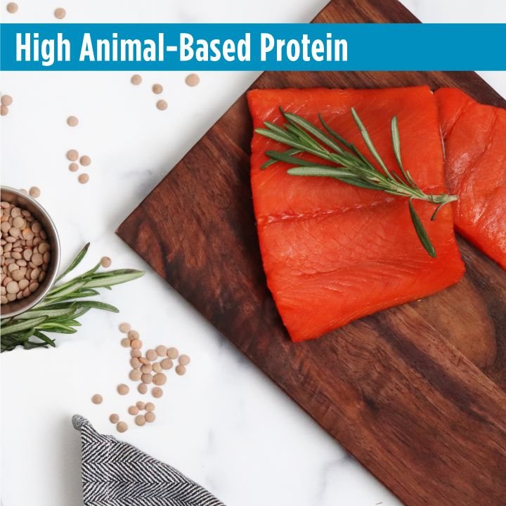 Nulo Freestyle Salmon and Lentils Recipe Grain-Free Adult Trim Dry Cat Food