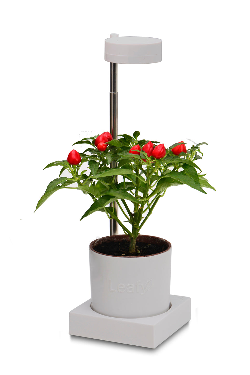 Leafy Desktop Hydroponics and Grow Light System