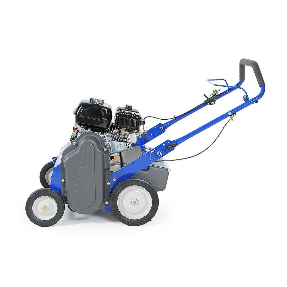 BLUEBIRD 5.5 HP 22 in. Gas Powered Seeder with Honda GX160 Engine S22H5DA