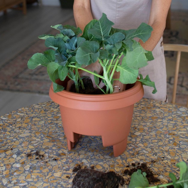 Wide Oval Balcony Rail Planter