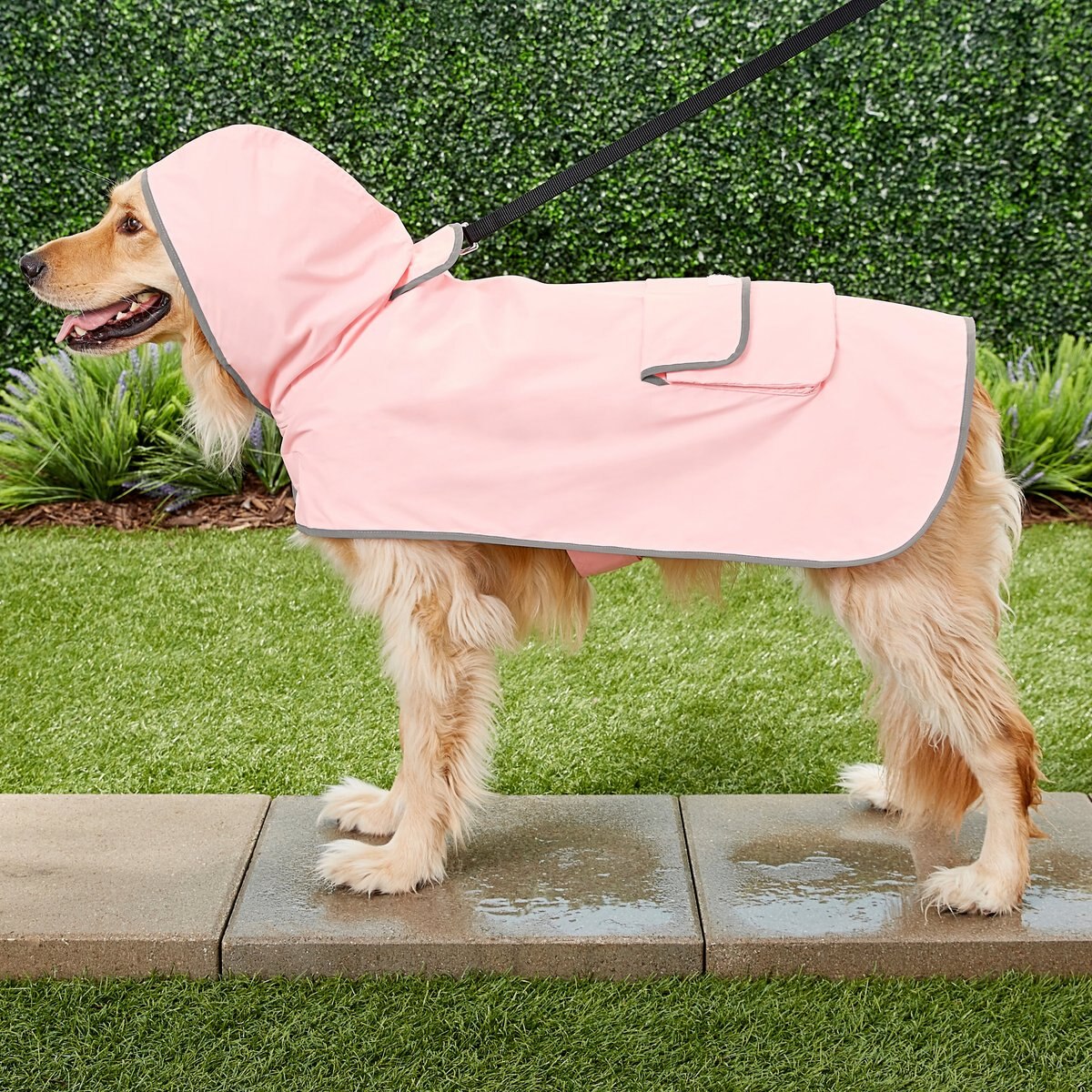 Frisco Reversible Packable Travel Dog Raincoat