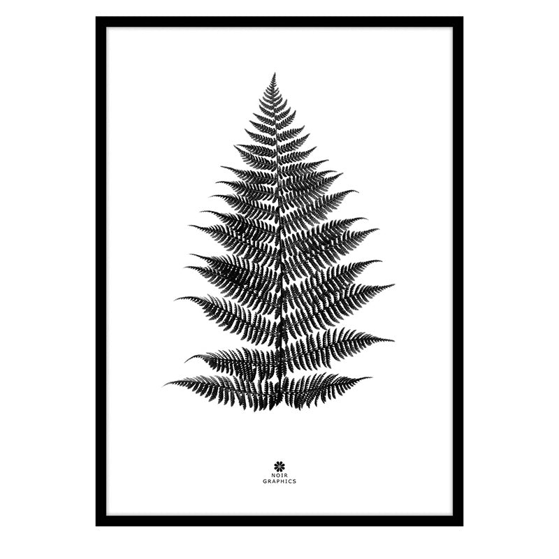 Large Fern Print in Black Frame