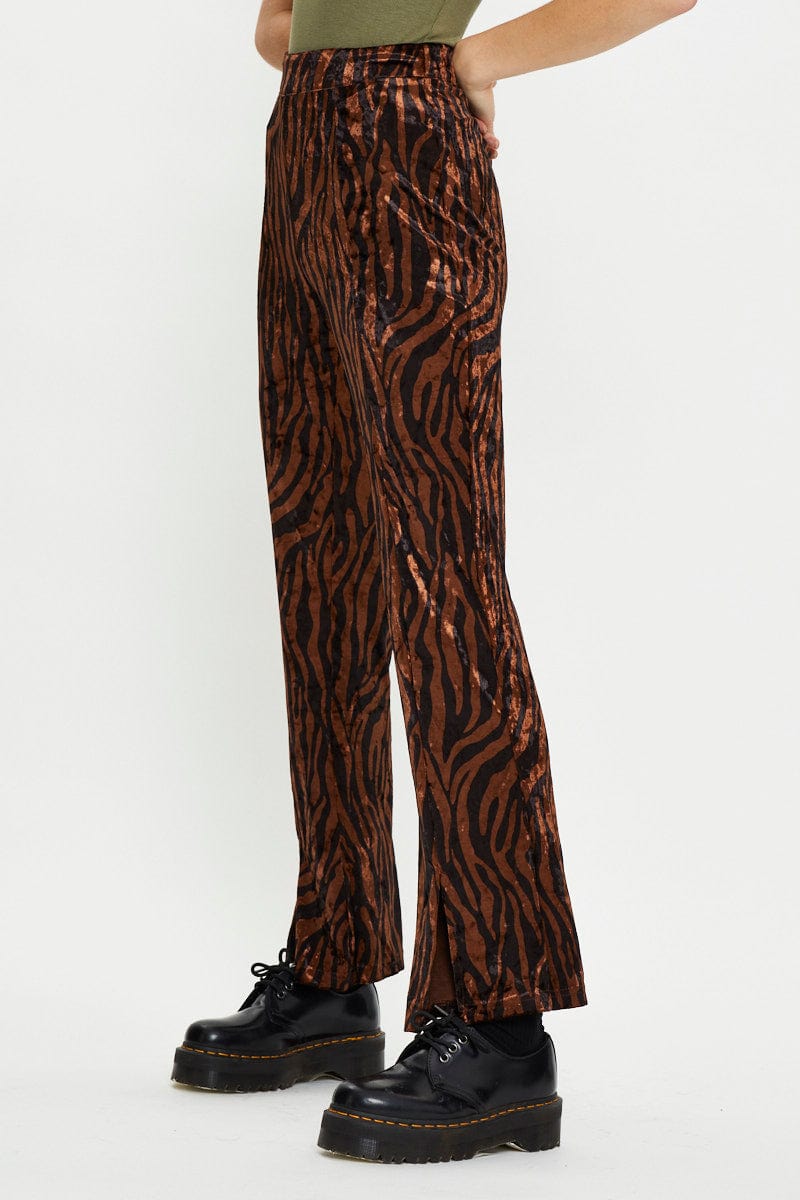 Print Man Pant