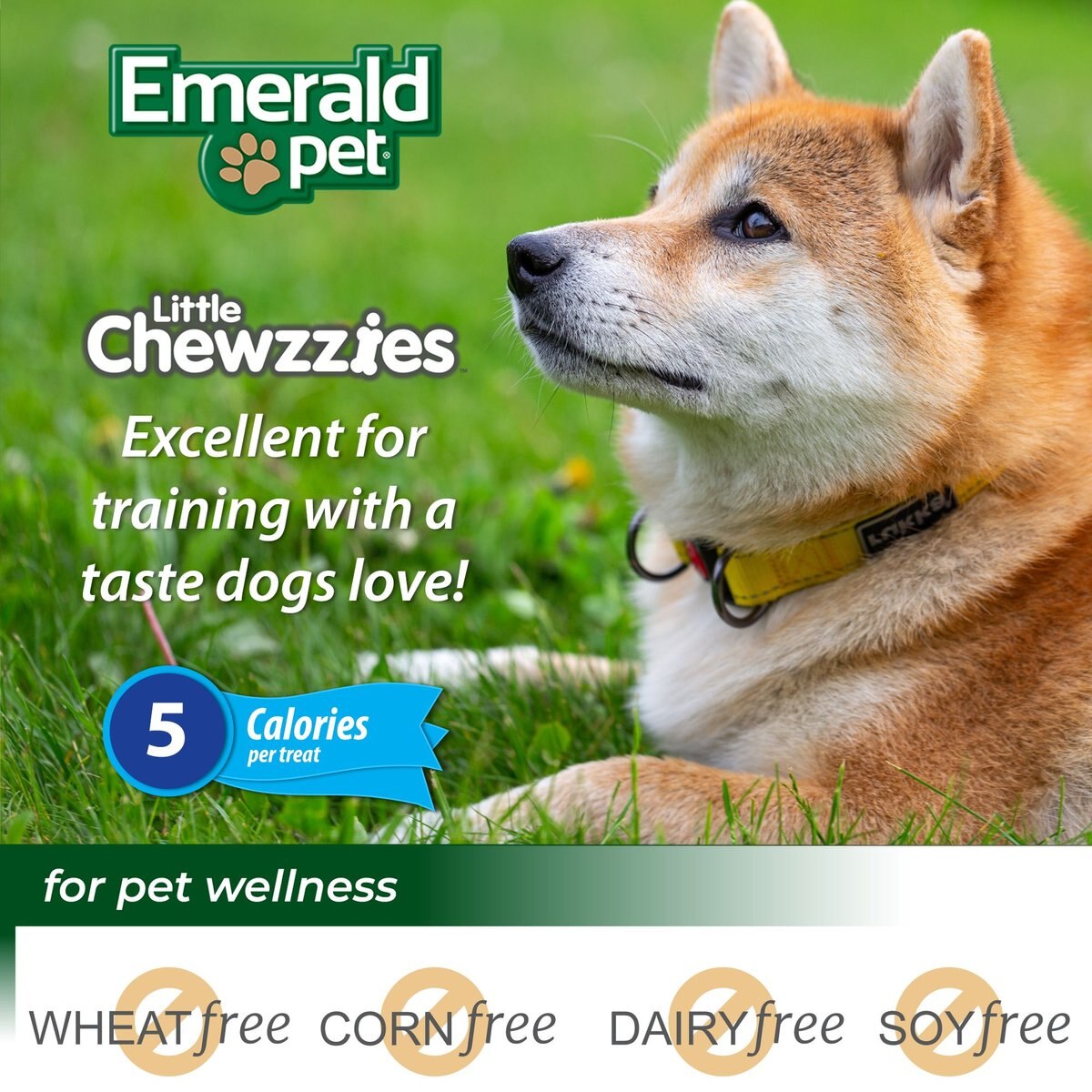 Emerald Pet Little Chewzzies Salmon Recipe Chicken-Free Dog Treats