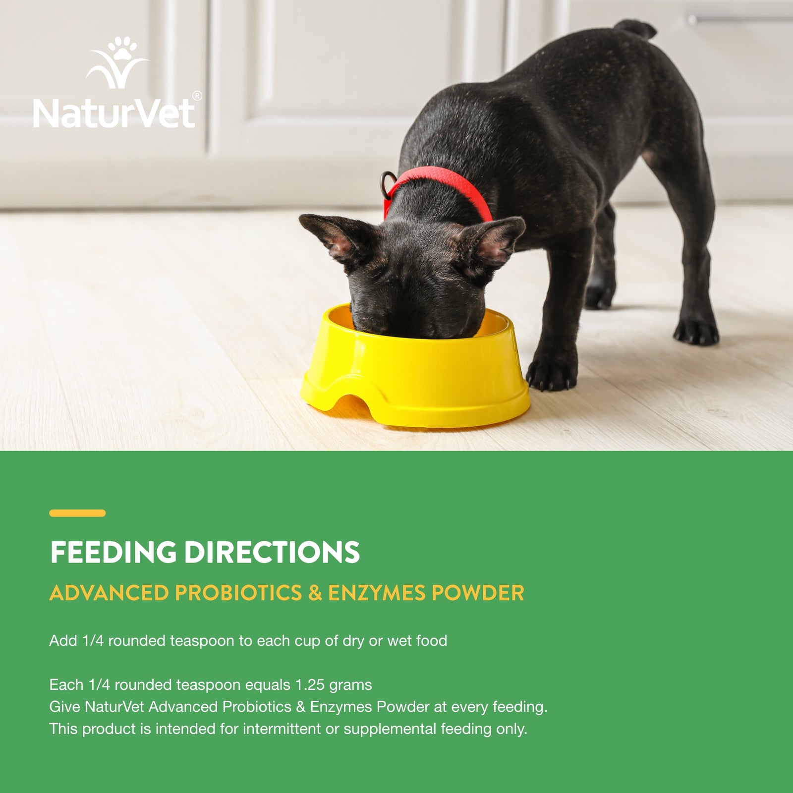 NaturVet Advanced Probiotic  Enzymes Powder for Dogs and Cats