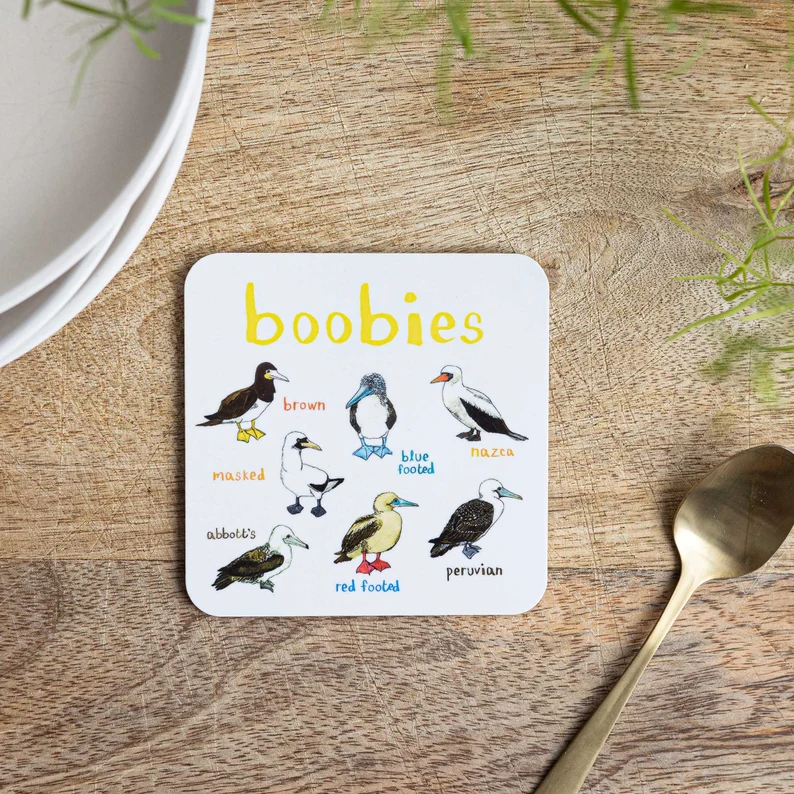 49% OFF🐦Set of 6 Bird Pun Coasters