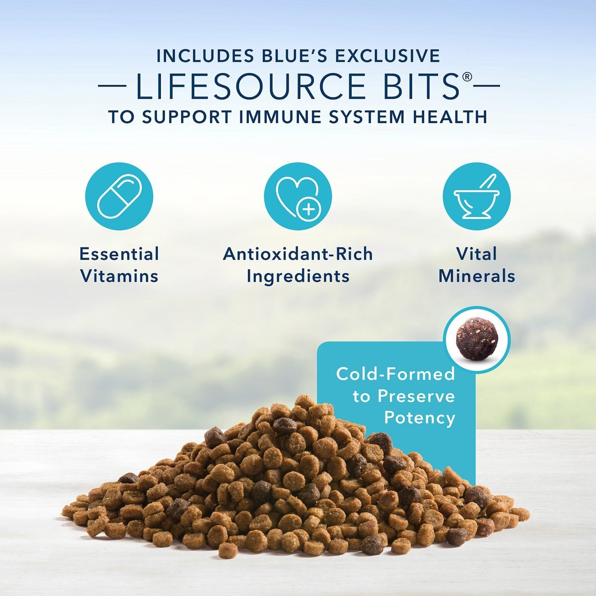 Blue Buffalo Life Protection Formula Toy Breed Adult Chicken and Brown Rice Recipe Dry Dog Food