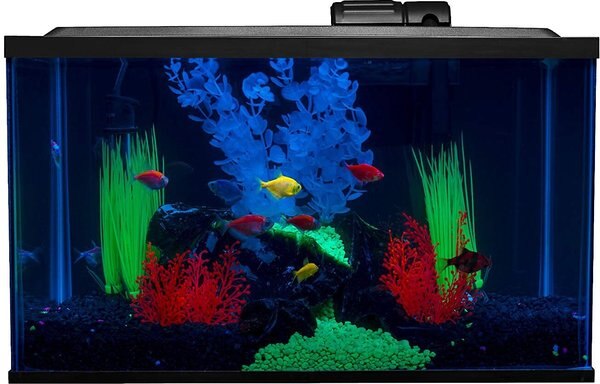 GloFish Aquarium Kit