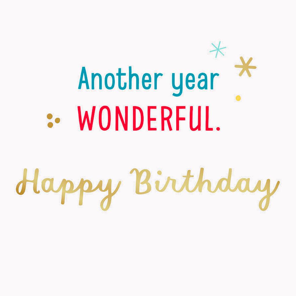 Hallmark  Another Year Wonderful Video Greeting Birthday Card