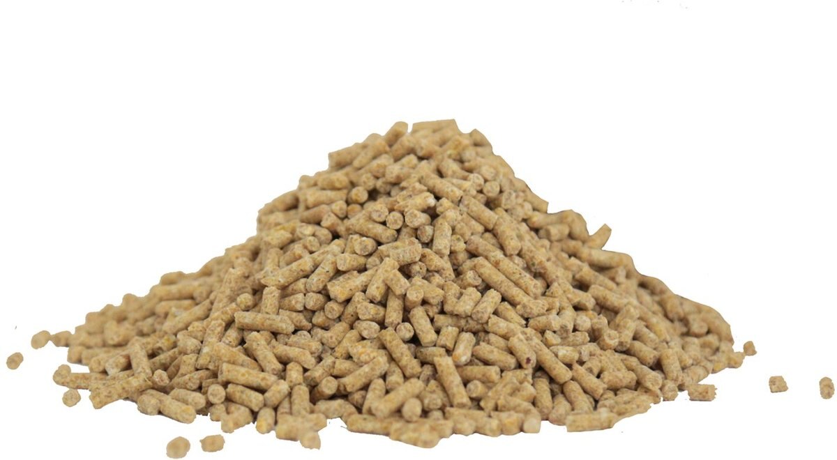 Healthy Harvest Non-GMO 17% Protein Layer Pellets Poultry Feed