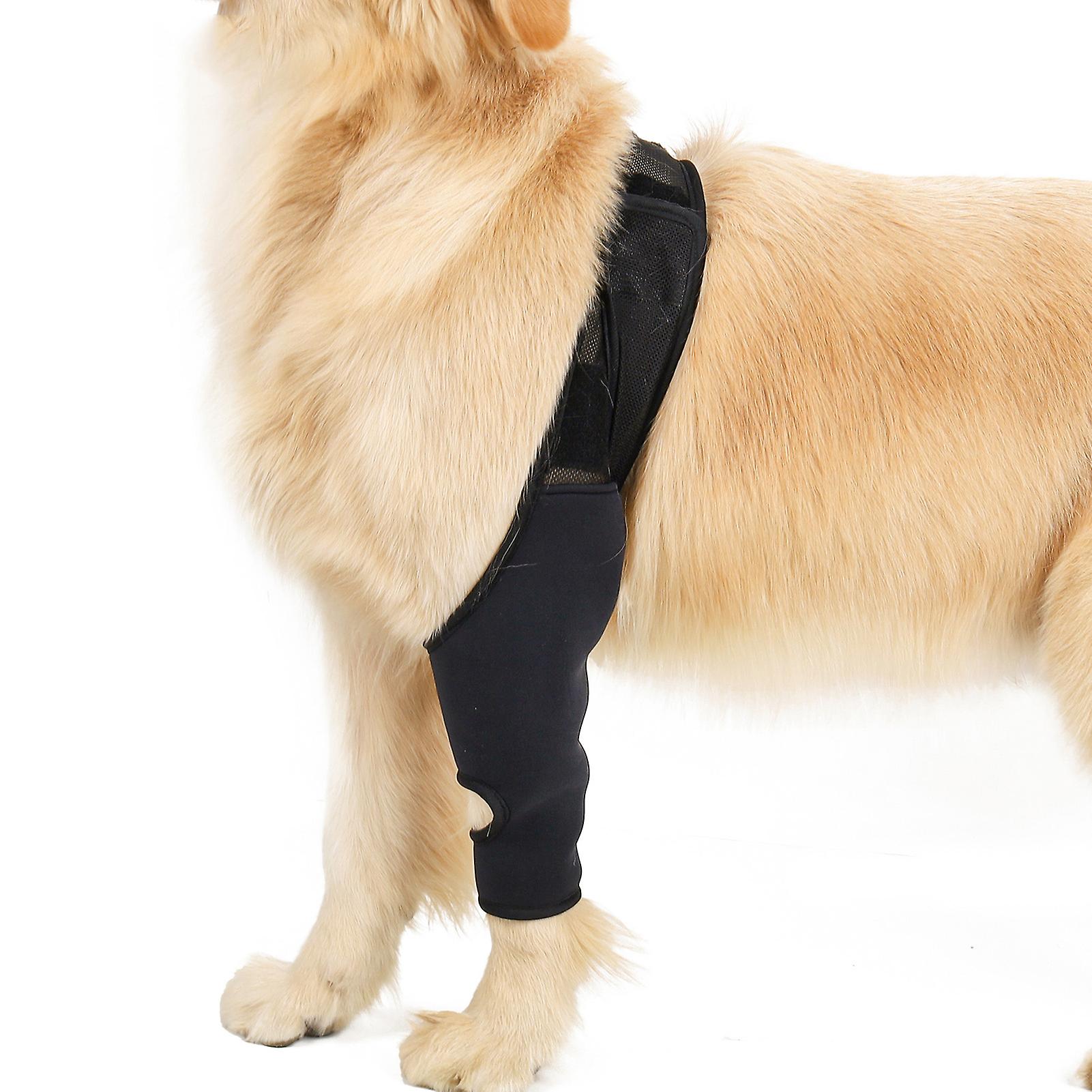 Dog Recovery Sleeve Front Rear Leg Support Brace For Injury Sprain Relieve Pain Black X-small