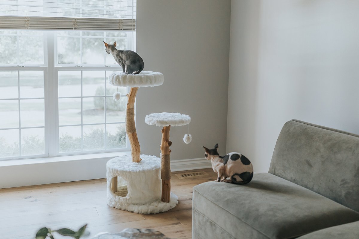 Mau Lifestyle Alba 43-in Modern Wooden Cat Tree and Condo