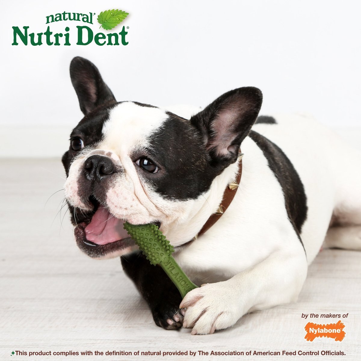 Nylabone Nutri Dent Limited Ingredients Fresh Breath Natural Dental Dog Treats