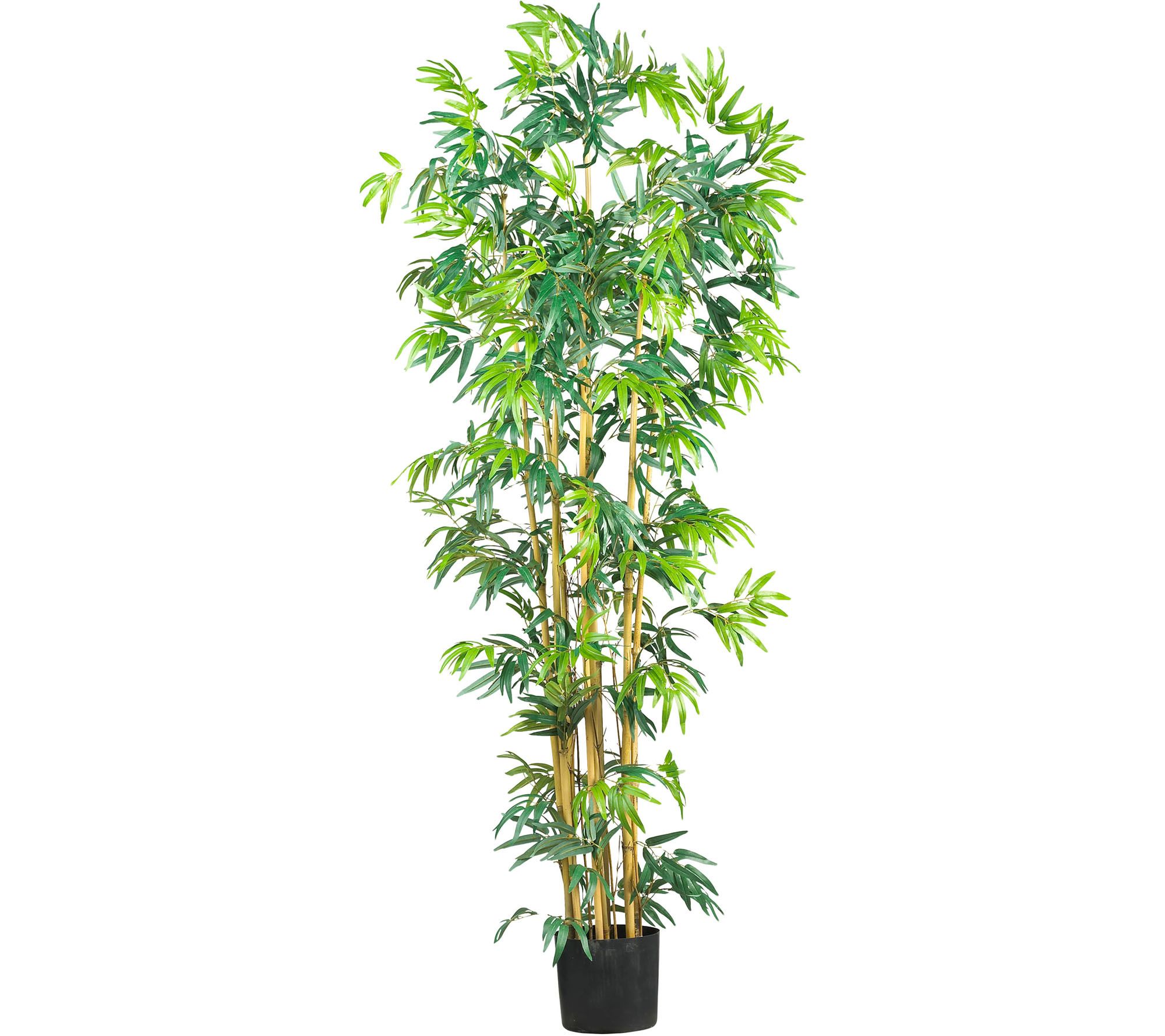 6' Multi Bambusa Bamboo Silk Tree by Nearly Natural