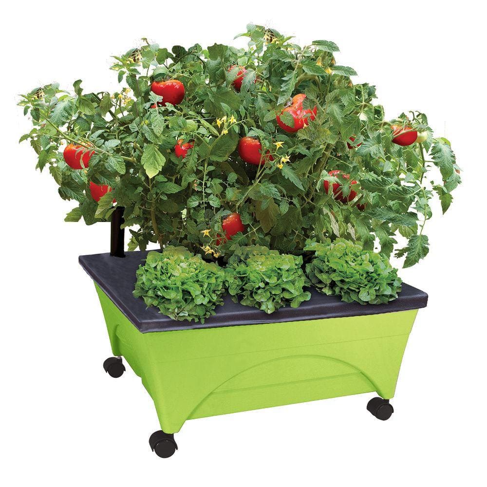 CITY PICKERS 24.5 in. x 20.5 in. Patio Raised Garden Bed Kit with Watering System and Casters in Limey Green 2343-1HD