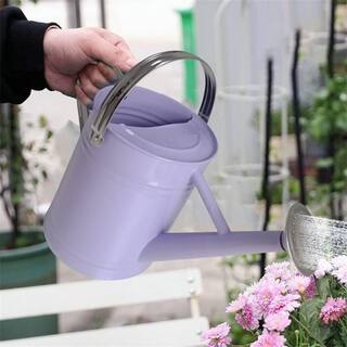 Dyiom 1 Gal. Purple Metal Watering Can B0B4JQ8GDS