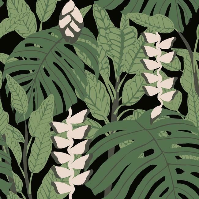 Bunaken Peel & Stick Wallpaper in Green and Black