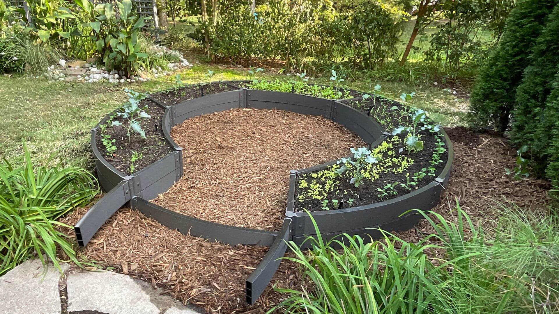 'Roundabout' 10' x 10'  Raised Garden Bed