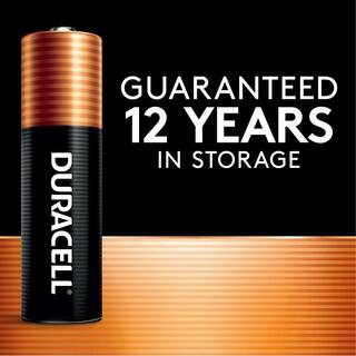 Duracell Coppertop 36-Count AA and 36-Count AAA Alkaline Battery Variety Pack (72 Total Batteries) 004133304286