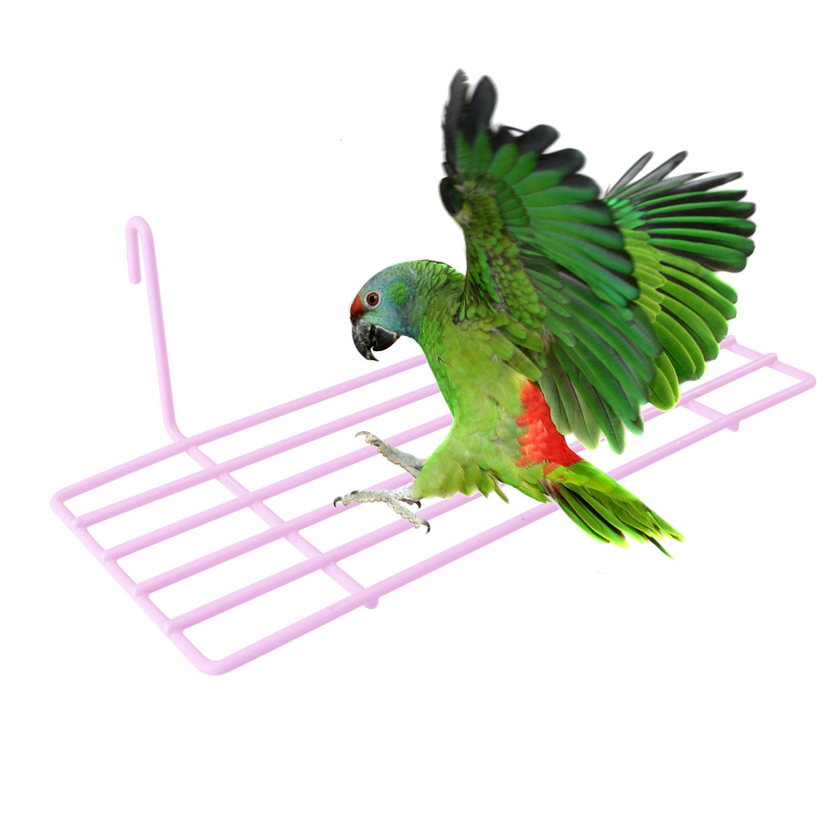 Etereauty Shelf Bird Cage Wall Parrot Iron Platform Grid Perchtoys Perches Playground Decoration Frame Stand African Training