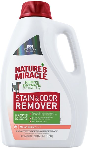 Nature's Miracle Dog Enzymatic Stain Remover and Odor Eliminator Refill， Melon Burst Scent， 1-gal bottle