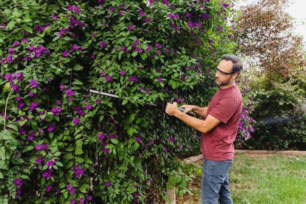 Hedge Trimmer