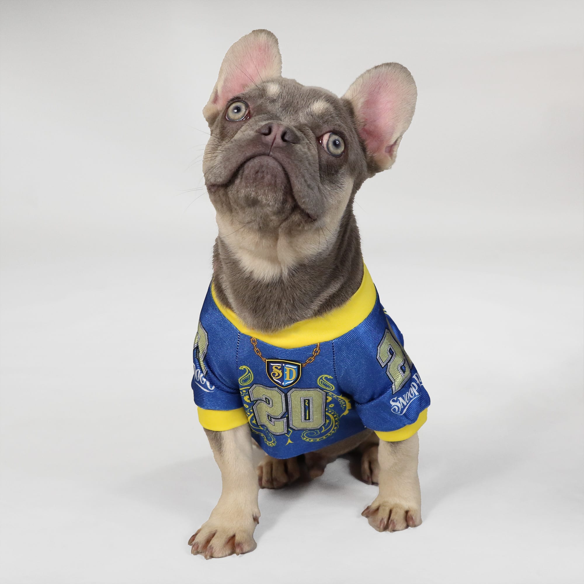 Snoop Doggie Doggs Blue Halftime Deluxe Pet Jersey， X-Small