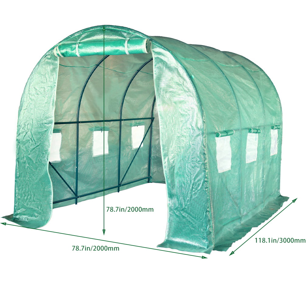 FDW Greenhouse for Outdoors Greenhouse Walk-in Green House L9.8'xW6.5'xH6.5' Plastic Mini Greenhouse Kit Indoor Portable Greenhouse Plant Shelves Tomato Herb Canopy for Patio,Green