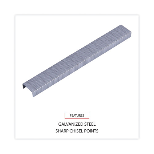 Universal Standard Chisel Point Staples， 0.25