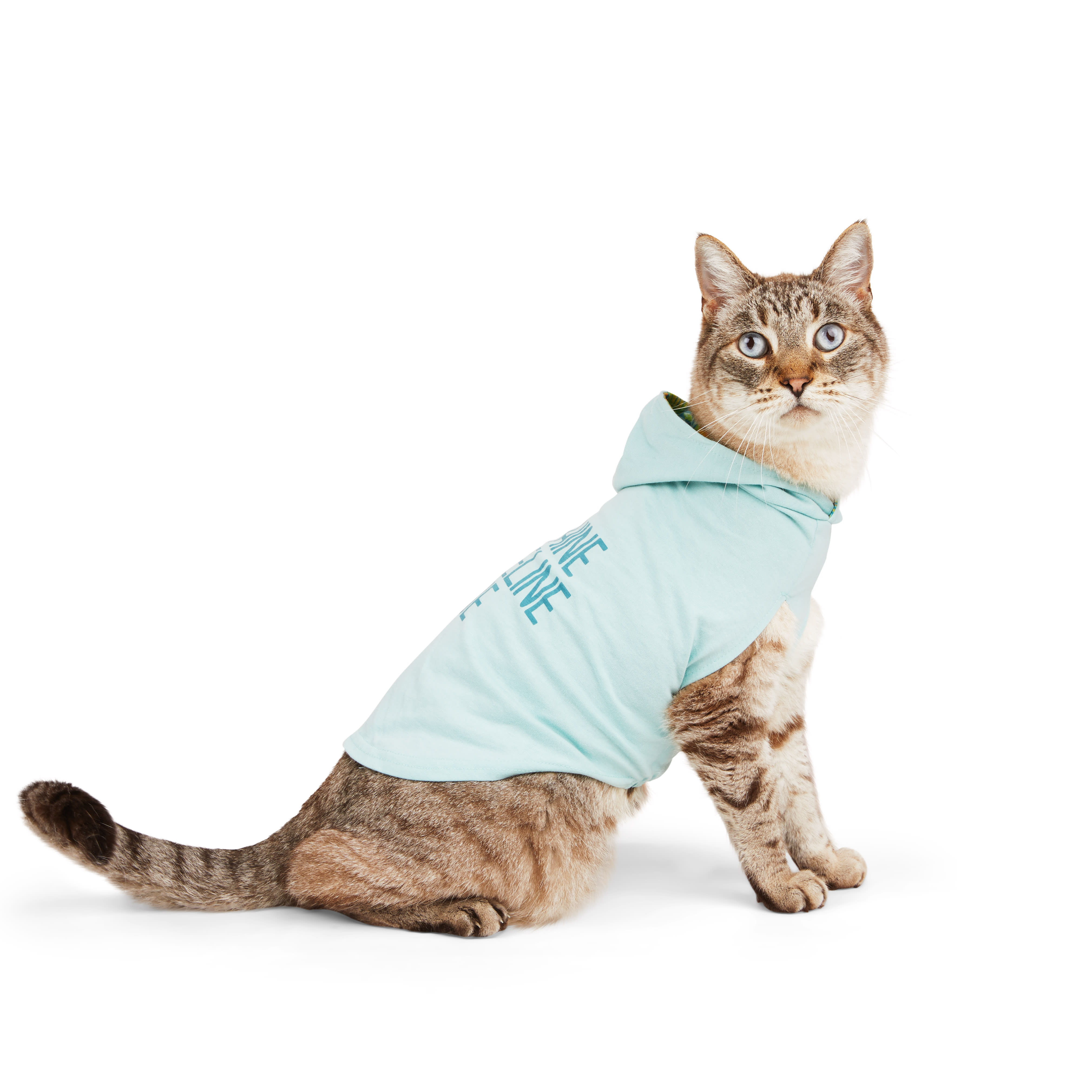 YOULY Cat Sunshine Hoodie， Small/Medium