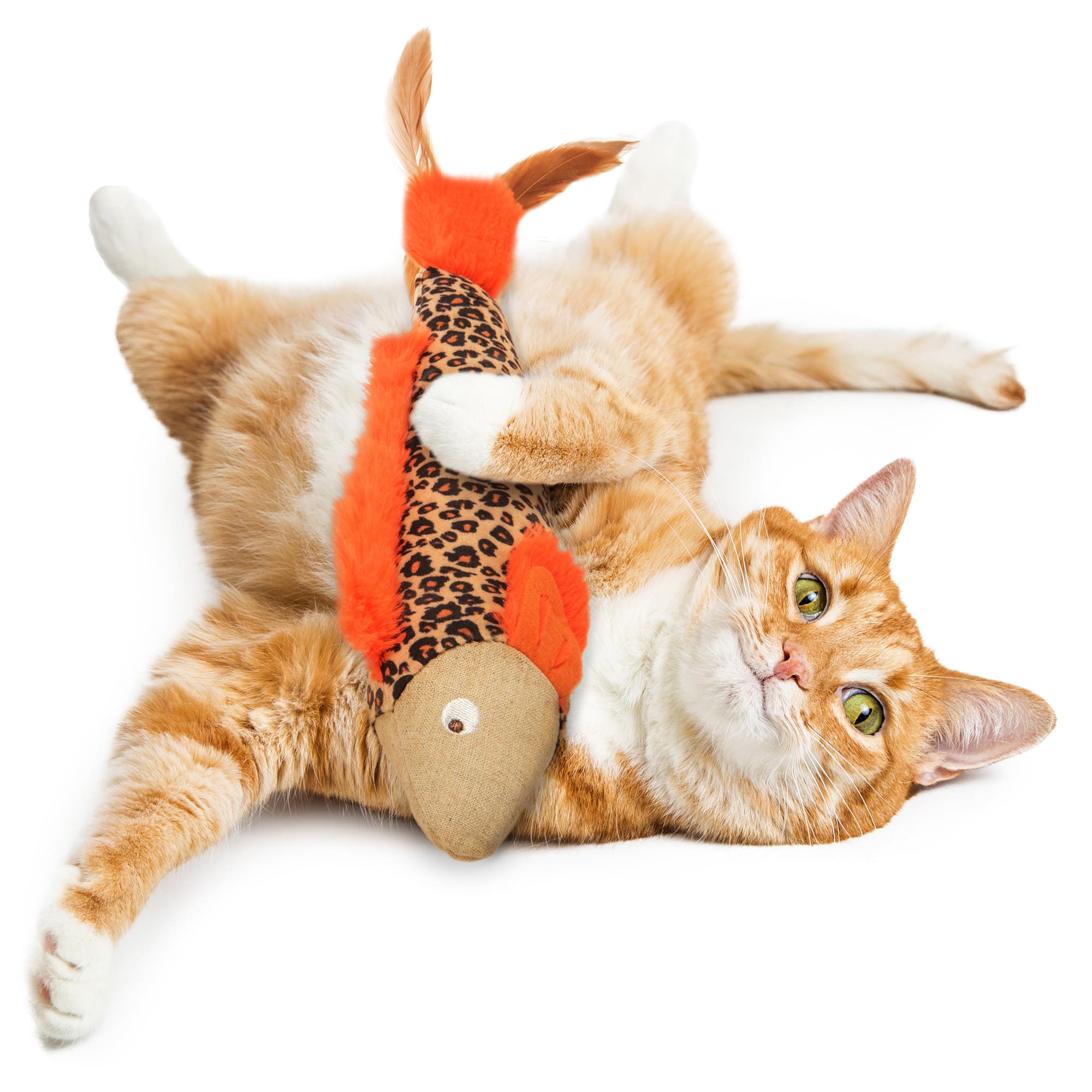 Petlinks Instincts Fin Frenzy Cat Toy， Small