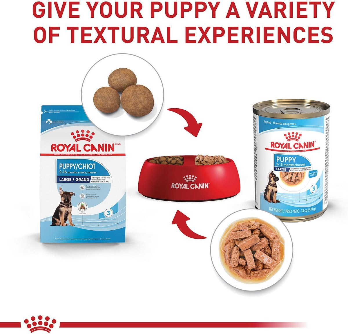 Royal Canin Size Health Nutrition Large Puppy Thin Slices in Gravy Wet Dog Food， 13-oz， case of 12