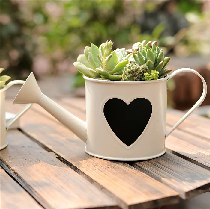 White garden tool watering can decorative home garden planter pot