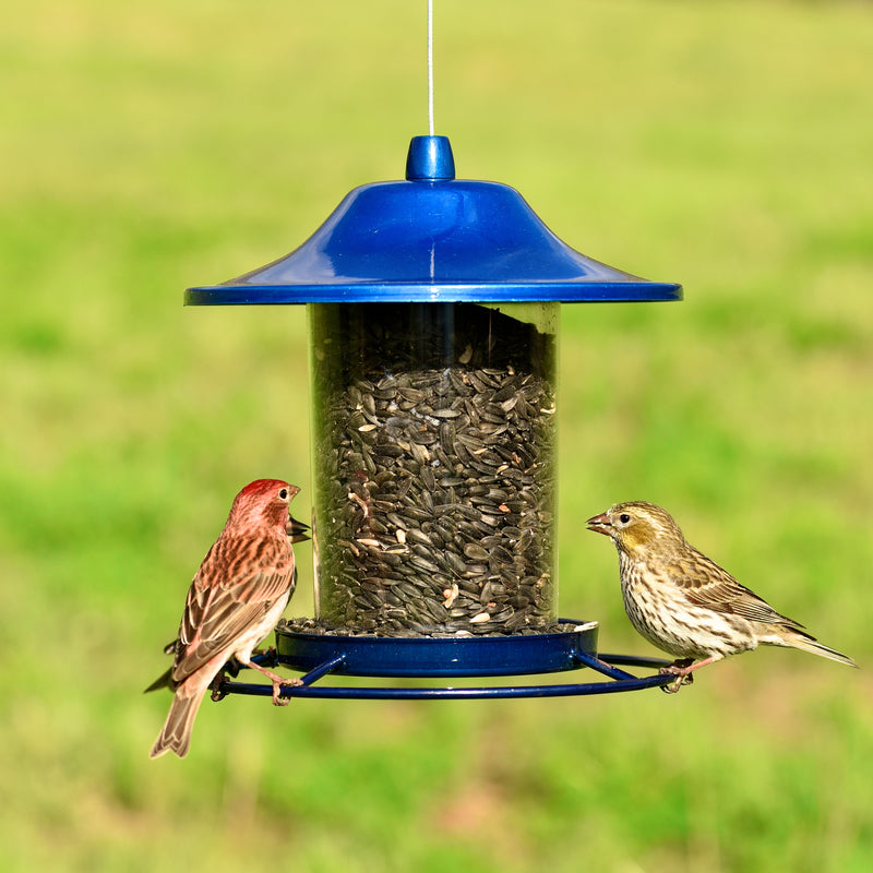 BLUE PANORAMA FEEDER