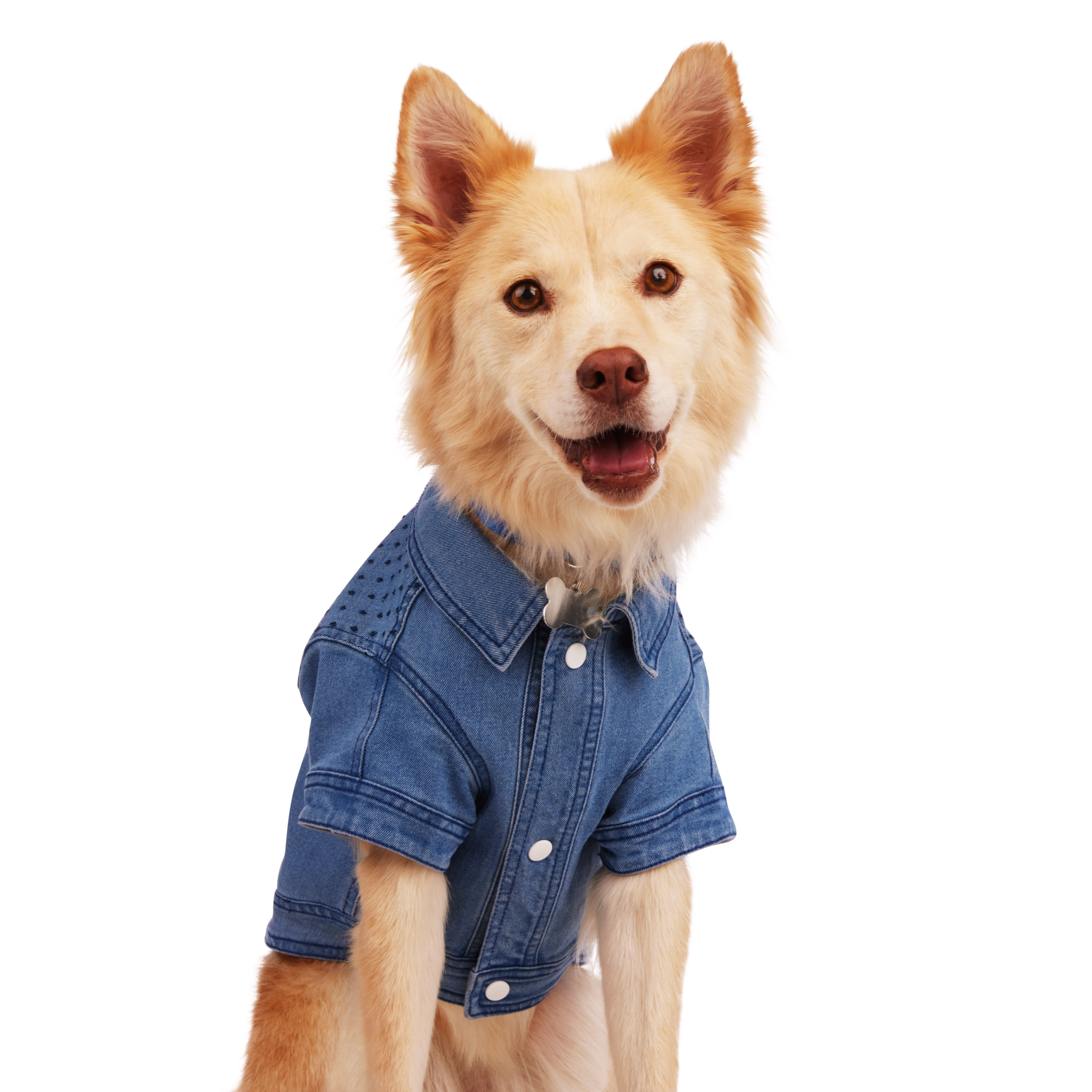 YOULY Blue Denim Jacket for Dogs， XX-Small