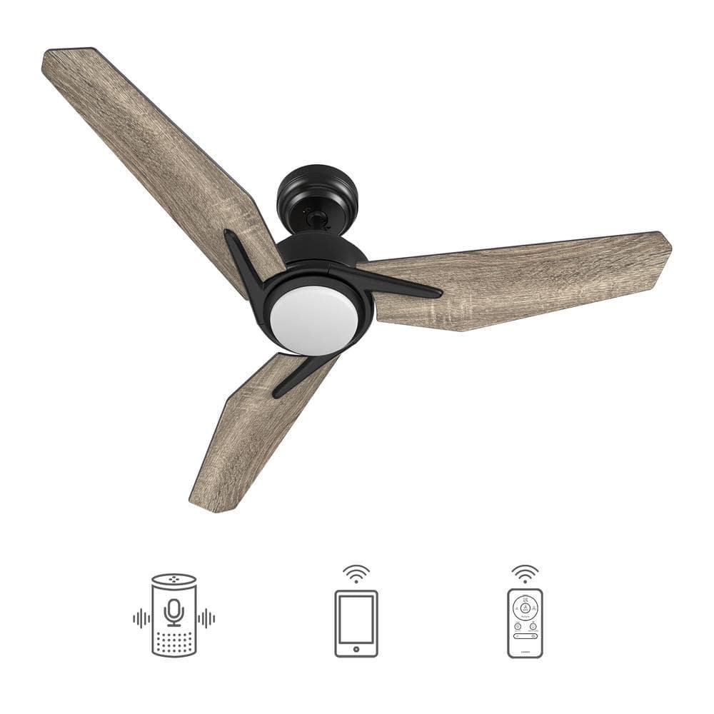 CARRO Tilbury 52 in Integrated LED IndoorOutdoor Black Smart Ceiling Fan with Light and Remote Works with AlexaGoogle Home