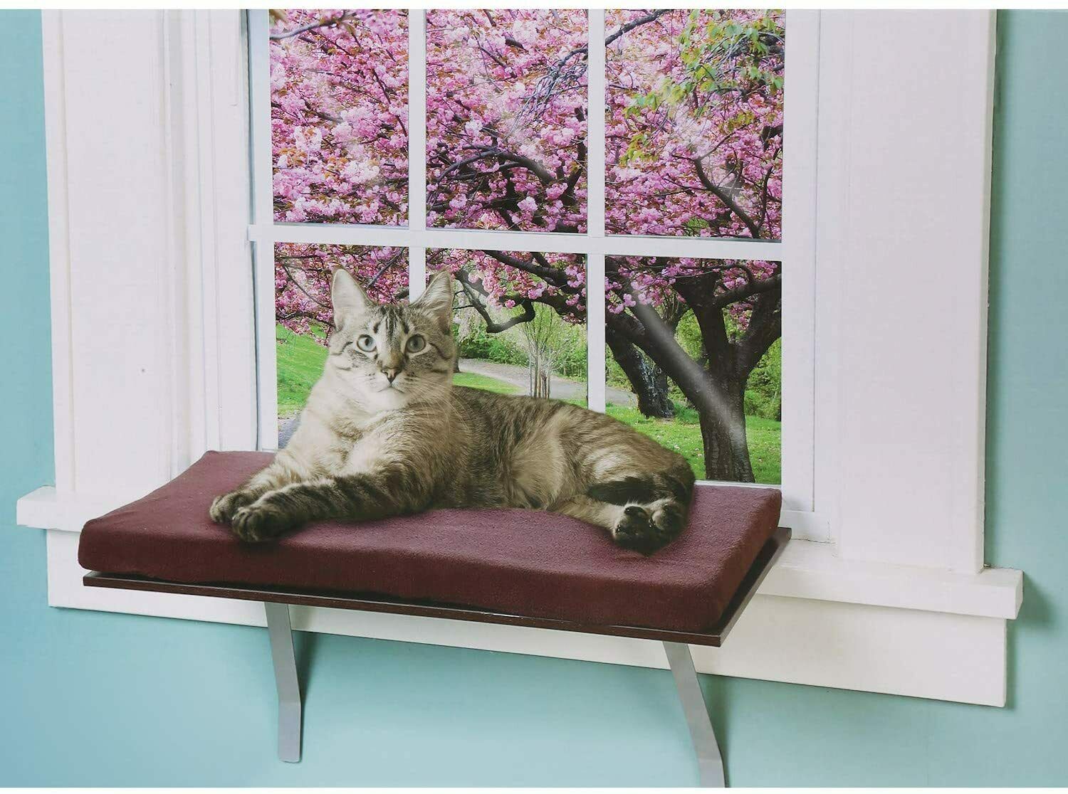 Cat Window Seat Bed -Window Perch Ledge for Cats -Foam Cushion Deluxe Kitty Window Perch