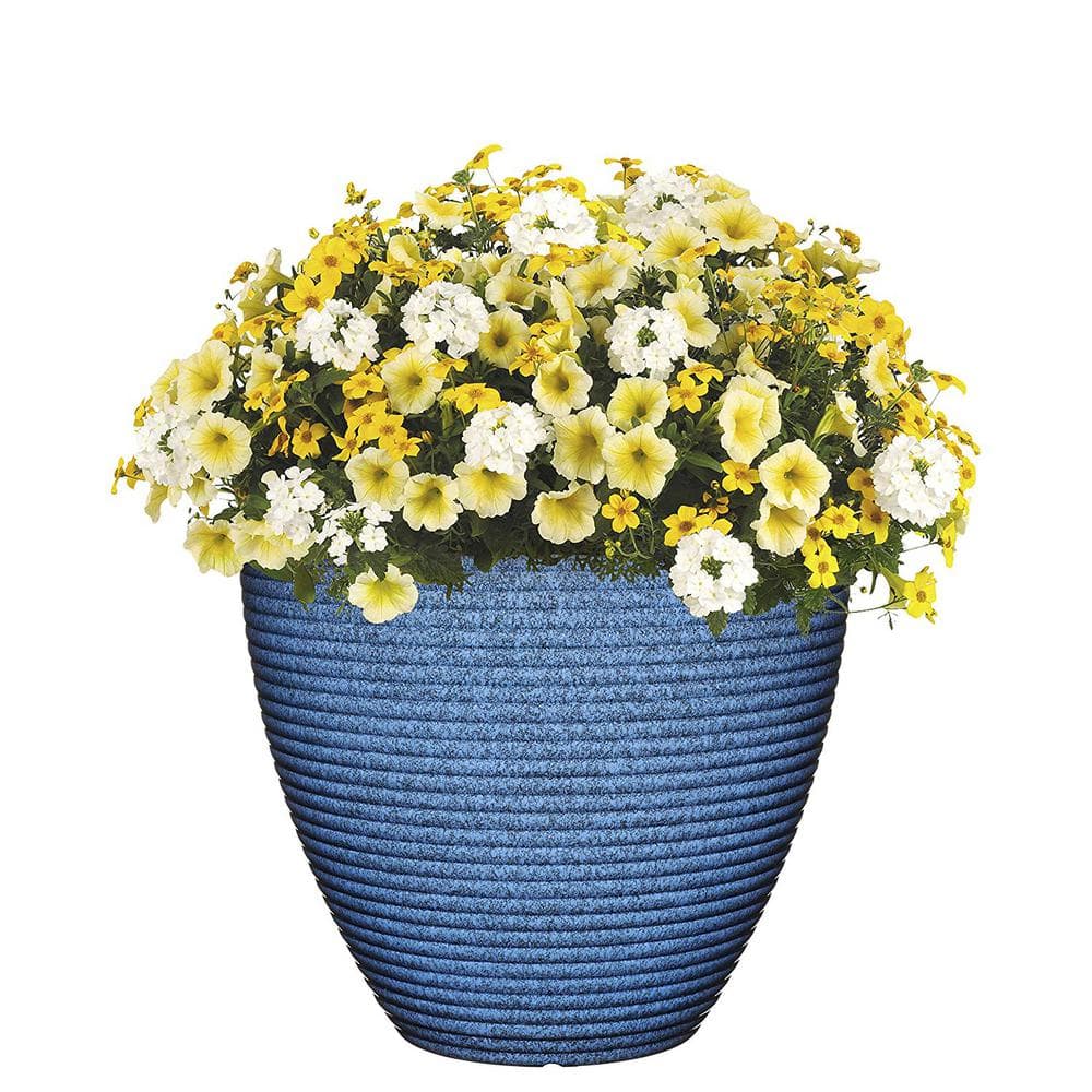 Classic Home and Garden 13 in. Perfect Blue Cali Resin Planter 4783-406R