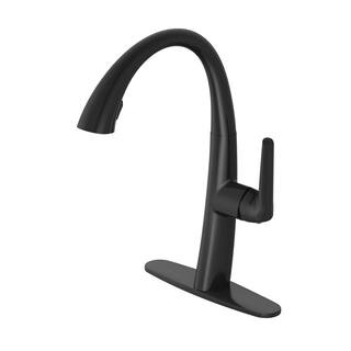 PRIVATE BRAND UNBRANDED Deveral Single-Handle Pull Down Sprayer Kitchen Faucet in Matte Black D00140O