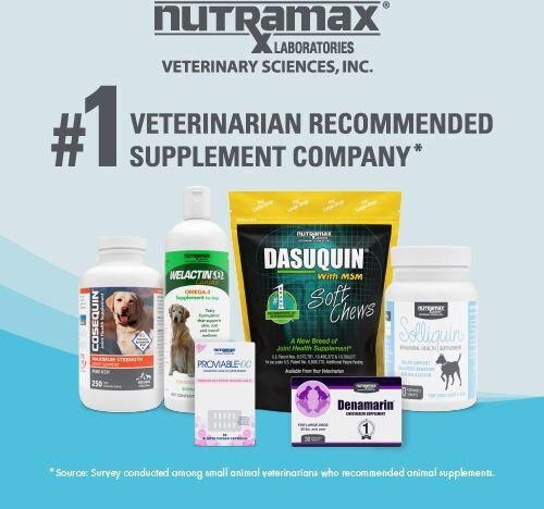 Nutramax Imuquin Powder Packets With Beta Glucans， Marine Lipids， Vitamins and Minerals Immune Health Supplement for Cats